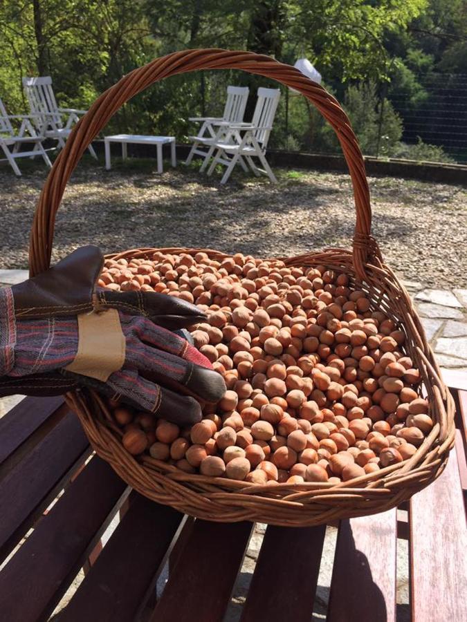 Tenuta Nissole Rocchetta Tanaro Eksteriør bilde